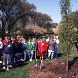 Children gathered around Arbor Day planted tree near Hedge Garden