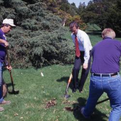Gerry Donnelly, Doug Monroe, and Rick Hootman with shovels digging hole for Arbor Day tree planting