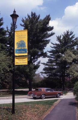 Yellow Morton Arboretum and Arbor Week banners on light pole alongside road with car passing