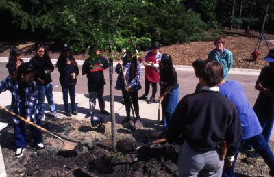 Group of girls and boys planting Arbor Day tree near sidewalk and road at Thornhill