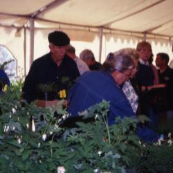Customers looking at plants during Arbor Day Plant Sale