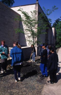 Children planting Arbor Day tree near sidewalk at Thornhill Education Center