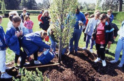 Children pouring water on newly planted tree on Arbor Day