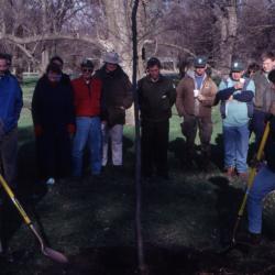 George Ware and other employee shovel soil over newly planted tree at Arbor Day employee tree planting