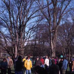 Employees gathered for Arbor Day employee tree planting