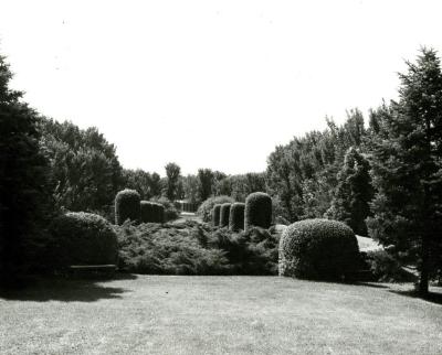 View of the Hedge Garden and Administration Building at The Morton Arboretum in Lisle, Illinois, circa 1960