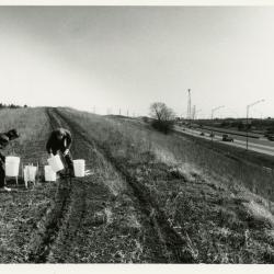 Salt study, Rose Reid and Rick Hootman placing plastic buckets on berm along freeway