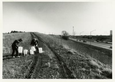 Salt study, Rose Reid and Rick Hootman placing plastic buckets on berm along freeway