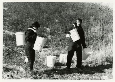 Salt study, Rose Reid and Rick Hootman carrying plastic buckets on berm 