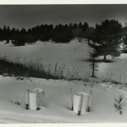 Salt study, plastic buckets in snow near plants with trees in the distance