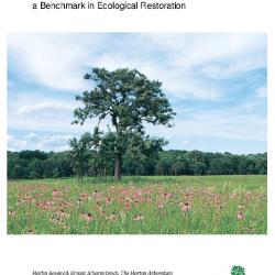 The Schulenberg Prairie: A Benchmark in Ecological Restoration