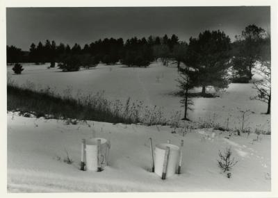 Salt study, plastic buckets in snow near plants with trees in the distance