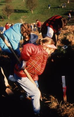 Young girl with shovel and others digging hold for tree during Earth Day celebration and berm planting