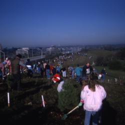 Crowd on top of berm planting trees during Earth Day celebration and berm planting