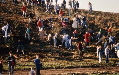 View of crowd planting trees from bottom of berm toward top during Earth Day celebration and berm planting