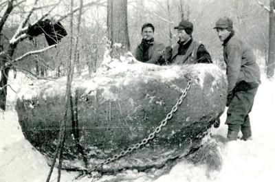 Three men (Roy Burnside at right) moving huge root balled tree