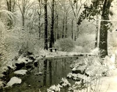 Winter - Morton Arboretum