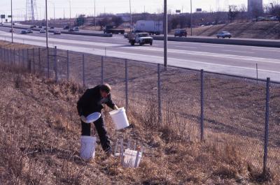 Salt Study, Rick Hootman placing white buckets on berm along I-88