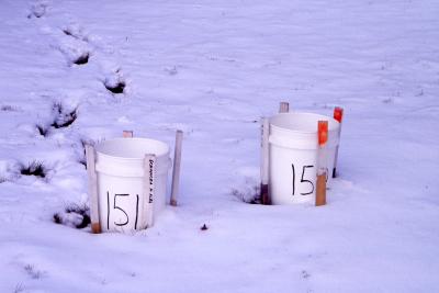 Salt Study, white buckets 151 and 152 in snow