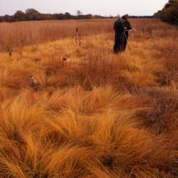Pat Kelsey and Rick Hootman testing soil in the prairie, surrounded by golden prairie grass