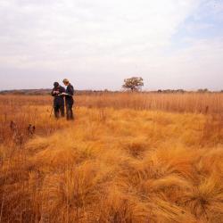 Pat Kelsey and Rick Hootman testing soil in the prairie, surrounded by golden prairie grass