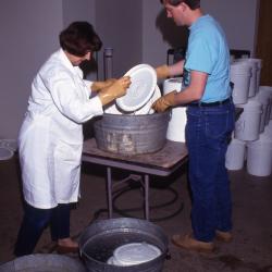 Salt Study, Rick Hootman and Rose Reid washing buckets in research lab