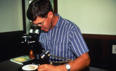  John Beckett looking at plant under microscope