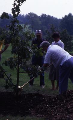 Planting a tree during the International Society of Arboriculture Jamboree