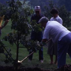 Planting a tree during the International Society of Arboriculture Jamboree