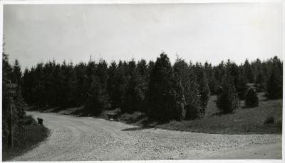 Spruce Hill at intersection just west of Lake Marmo dam and bridge