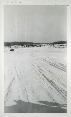 Snow-covered landscape and road, tree with balled roots for transplanting in distance to left of the road