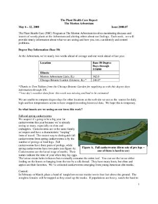 Plant Health Care Report: Issue 2000.07
