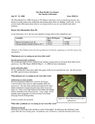 Plant Health Care Report: Issue 2000.16