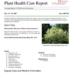 Plant Health Care Report: Issue 2007.06