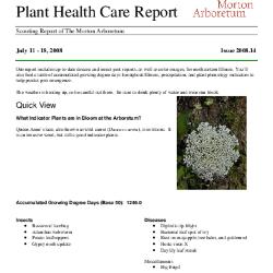 Plant Health Care Report: Issue 2008.14