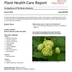 Plant Health Care Report: Issue 2010.08