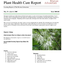 Plant Health Care Report: Issue 2008.08
