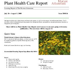 Plant Health Care Report: Issue 2008.16