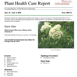 Plant Health Care Report: Issue 2009.12
