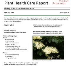 Plant Health Care Report: Issue 2010.07