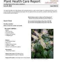 Plant Health Care Report: Issue 2010.11