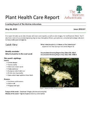 Plant Health Care Report: Issue 2010.07