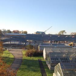 South Farm Curatorial and Operations Center Construction, View from Herbarium, November 2016 