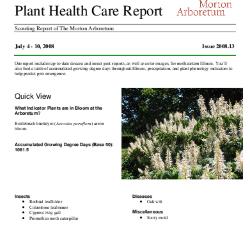 Plant Health Care Report: Issue 2008.13