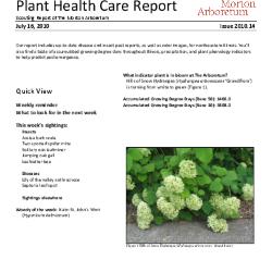 Plant Health Care Report: Issue 2010.14