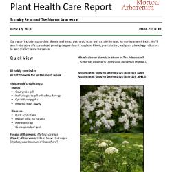 Plant Health Care Report: Issue 2010.10
