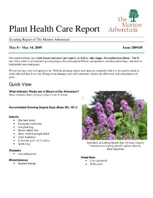 Plant Health Care Report: Issue 2009.05