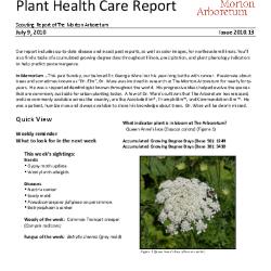 Plant Health Care Report: Issue 2010.13