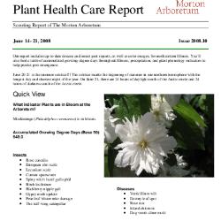 Plant Health Care Report: Issue 2008.10