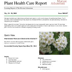 Plant Health Care Report: Issue 2008.07